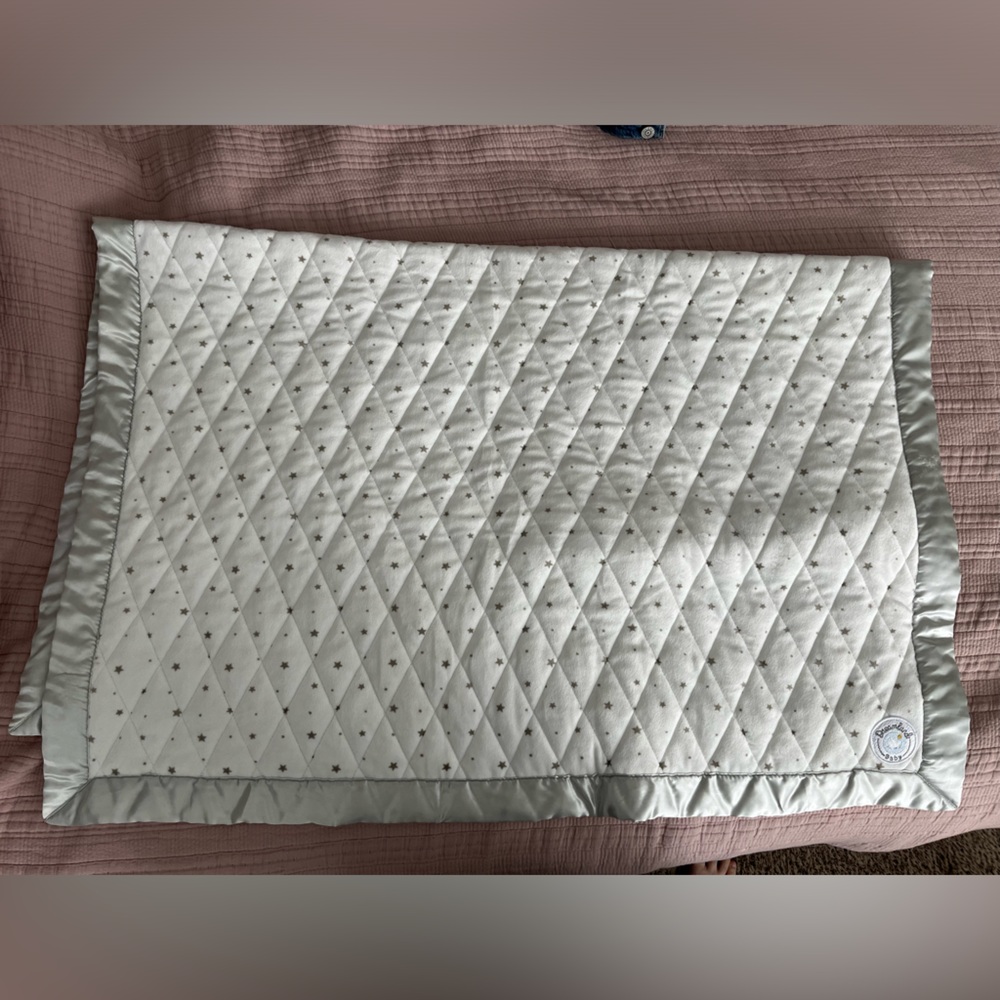 Dreamland Baby Co Weighted Toddler Blanket